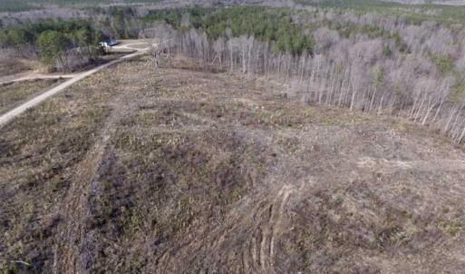 Photo of SOLD!  44.5 Acres of Hunting and Recreational Land For Sale in Lunenburg County VA!