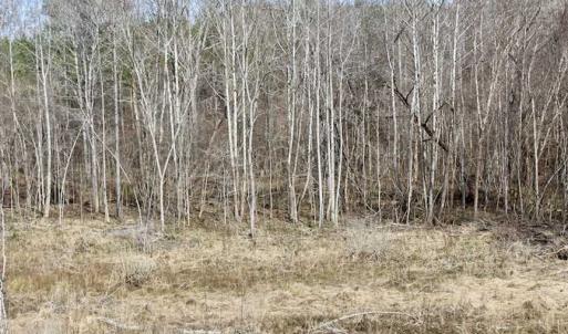 Photo of SOLD!  44.5 Acres of Hunting and Recreational Land For Sale in Lunenburg County VA!