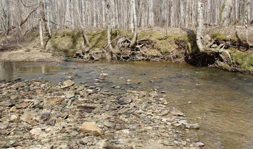 Photo of SOLD!  44.5 Acres of Hunting and Recreational Land For Sale in Lunenburg County VA!
