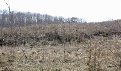 Photo of SOLD!  44.5 Acres of Hunting and Recreational Land For Sale in Lunenburg County VA!