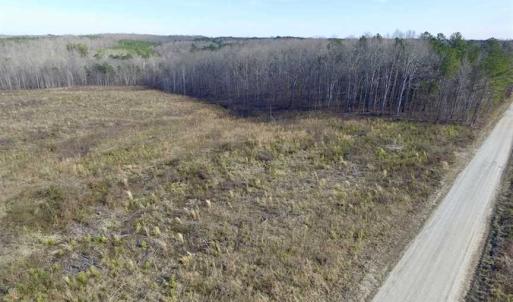 Photo of SOLD!  44.5 Acres of Hunting and Recreational Land For Sale in Lunenburg County VA!