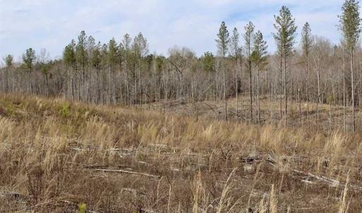 Photo of SOLD!  44.5 Acres of Hunting and Recreational Land For Sale in Lunenburg County VA!