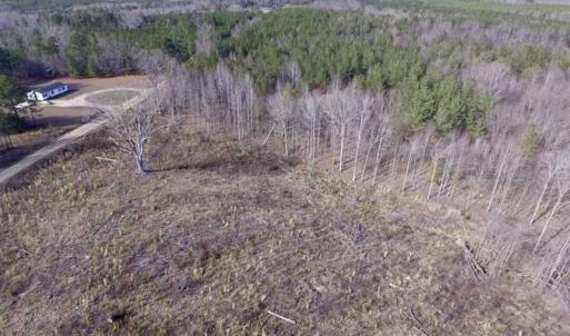 Photo of SOLD!  44.5 Acres of Hunting and Recreational Land For Sale in Lunenburg County VA!