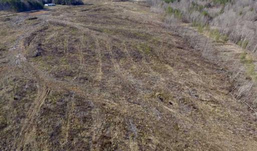 Photo of SOLD!  44.5 Acres of Hunting and Recreational Land For Sale in Lunenburg County VA!