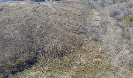 Photo of SOLD!  44.5 Acres of Hunting and Recreational Land For Sale in Lunenburg County VA!
