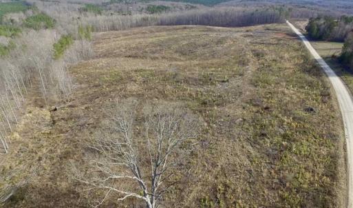 Photo of SOLD!  44.5 Acres of Hunting and Recreational Land For Sale in Lunenburg County VA!