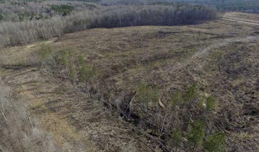 Photo of SOLD!  44.5 Acres of Hunting and Recreational Land For Sale in Lunenburg County VA!