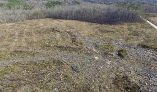 Photo of SOLD!  44.5 Acres of Hunting and Recreational Land For Sale in Lunenburg County VA!