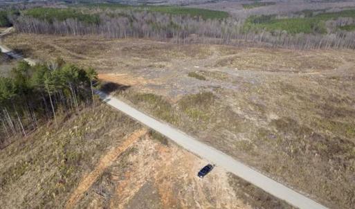Photo of SOLD!  44.5 Acres of Hunting and Recreational Land For Sale in Lunenburg County VA!