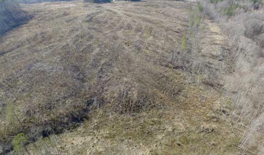 Photo of SOLD!  44.5 Acres of Hunting and Recreational Land For Sale in Lunenburg County VA!