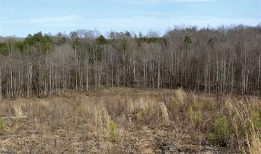 Photo of SOLD!  44.5 Acres of Hunting and Recreational Land For Sale in Lunenburg County VA!