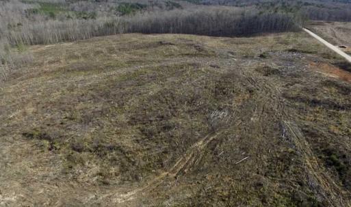 Photo of SOLD!  44.5 Acres of Hunting and Recreational Land For Sale in Lunenburg County VA!