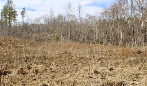 Photo of SOLD!  44.5 Acres of Hunting and Recreational Land For Sale in Lunenburg County VA!