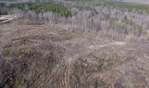 Photo of SOLD!  44.5 Acres of Hunting and Recreational Land For Sale in Lunenburg County VA!