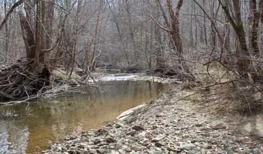Photo of SOLD!  44.5 Acres of Hunting and Recreational Land For Sale in Lunenburg County VA!