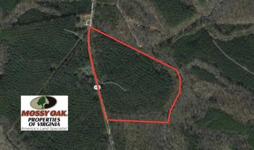 Photo of SOLD!  44.5 Acres of Hunting and Recreational Land For Sale in Lunenburg County VA!