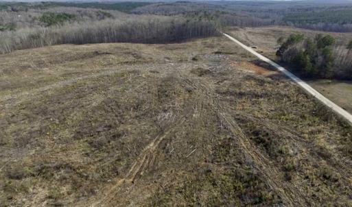 Photo of SOLD!  44.5 Acres of Hunting and Recreational Land For Sale in Lunenburg County VA!