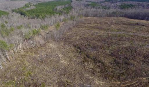 Photo of SOLD!  44.5 Acres of Hunting and Recreational Land For Sale in Lunenburg County VA!
