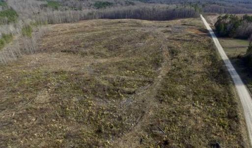 Photo of SOLD!  44.5 Acres of Hunting and Recreational Land For Sale in Lunenburg County VA!