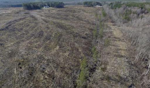 Photo of SOLD!  44.5 Acres of Hunting and Recreational Land For Sale in Lunenburg County VA!