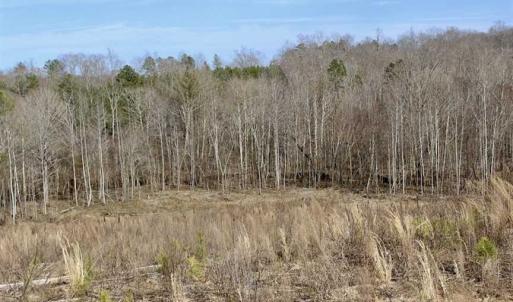 Photo of SOLD!  44.5 Acres of Hunting and Recreational Land For Sale in Lunenburg County VA!