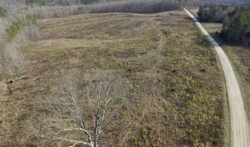 Photo of SOLD!  44.5 Acres of Hunting and Recreational Land For Sale in Lunenburg County VA!