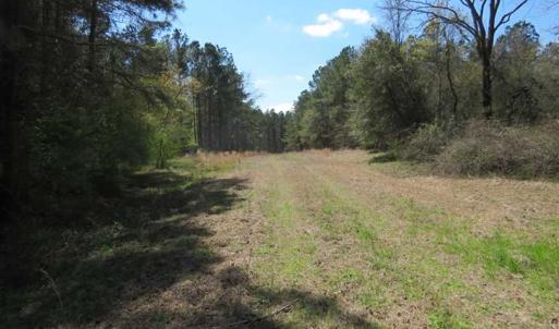 Photo of SOLD!  39 Acres of Timber and Hunting Land For Sale in Cumberland County NC!