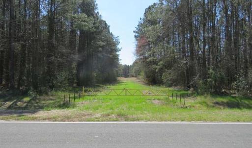 Photo of SOLD!  39 Acres of Timber and Hunting Land For Sale in Cumberland County NC!