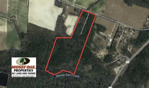 Photo of SOLD!  39 Acres of Timber and Hunting Land For Sale in Cumberland County NC!