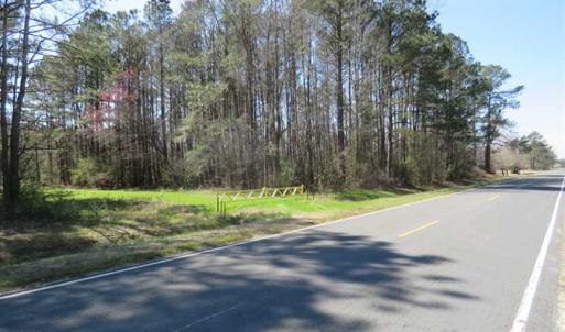 Photo of SOLD!  39 Acres of Timber and Hunting Land For Sale in Cumberland County NC!