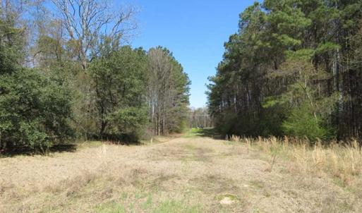 Photo of SOLD!  39 Acres of Timber and Hunting Land For Sale in Cumberland County NC!