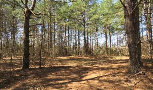 Photo of SOLD!  39 Acres of Timber and Hunting Land For Sale in Cumberland County NC!