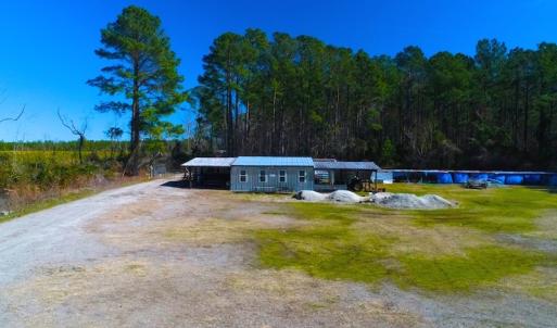 Photo of UNDER CONTRACT!  352 Acres of Timber and Recreational Land For Sale in Pamlico County NC!