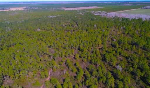 Photo of UNDER CONTRACT!  352 Acres of Timber and Recreational Land For Sale in Pamlico County NC!