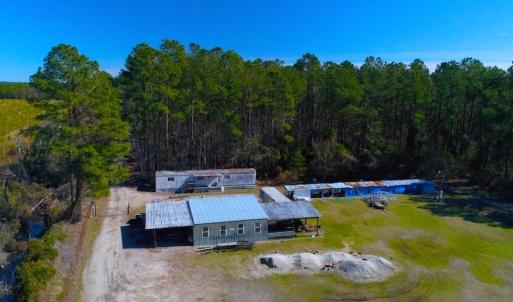 Photo of UNDER CONTRACT!  352 Acres of Timber and Recreational Land For Sale in Pamlico County NC!