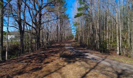 Photo of UNDER CONTRACT!  352 Acres of Timber and Recreational Land For Sale in Pamlico County NC!