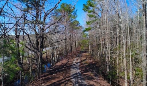 Photo of UNDER CONTRACT!  352 Acres of Timber and Recreational Land For Sale in Pamlico County NC!