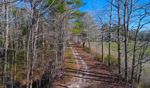 Photo of UNDER CONTRACT!  352 Acres of Timber and Recreational Land For Sale in Pamlico County NC!