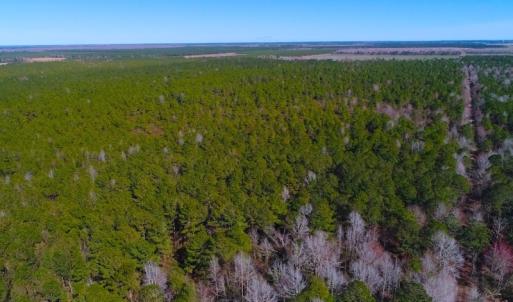 Photo of UNDER CONTRACT!  352 Acres of Timber and Recreational Land For Sale in Pamlico County NC!
