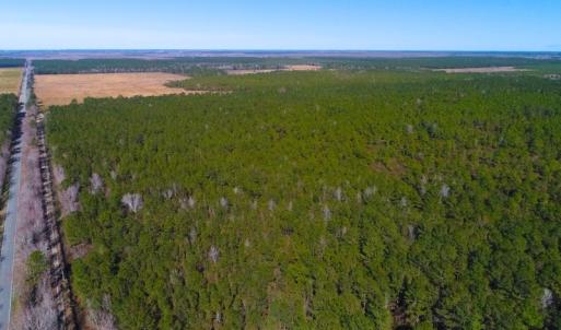 Photo of UNDER CONTRACT!  352 Acres of Timber and Recreational Land For Sale in Pamlico County NC!