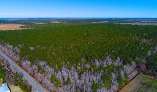 Photo of UNDER CONTRACT!  352 Acres of Timber and Recreational Land For Sale in Pamlico County NC!