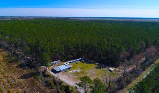 Photo of UNDER CONTRACT!  352 Acres of Timber and Recreational Land For Sale in Pamlico County NC!