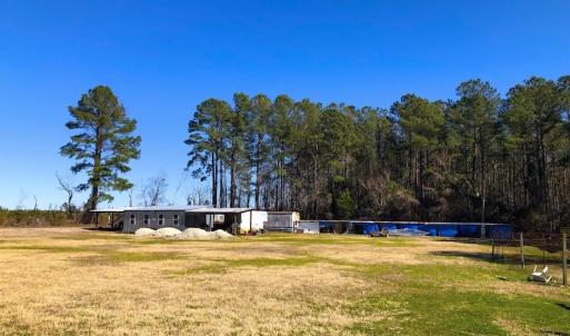 Photo of UNDER CONTRACT!  352 Acres of Timber and Recreational Land For Sale in Pamlico County NC!