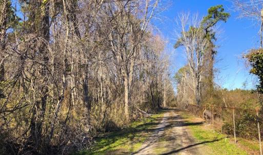 Photo of UNDER CONTRACT!  352 Acres of Timber and Recreational Land For Sale in Pamlico County NC!