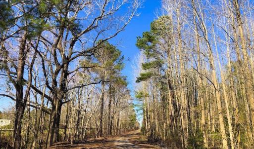 Photo of UNDER CONTRACT!  352 Acres of Timber and Recreational Land For Sale in Pamlico County NC!