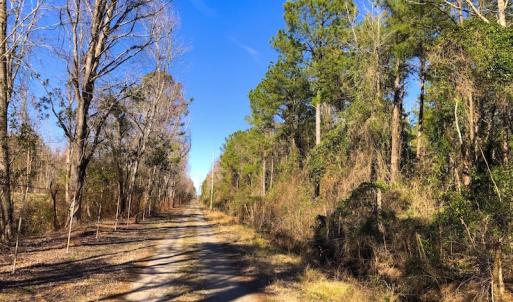 Photo of UNDER CONTRACT!  352 Acres of Timber and Recreational Land For Sale in Pamlico County NC!