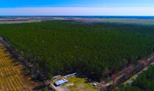 Photo of UNDER CONTRACT!  352 Acres of Timber and Recreational Land For Sale in Pamlico County NC!