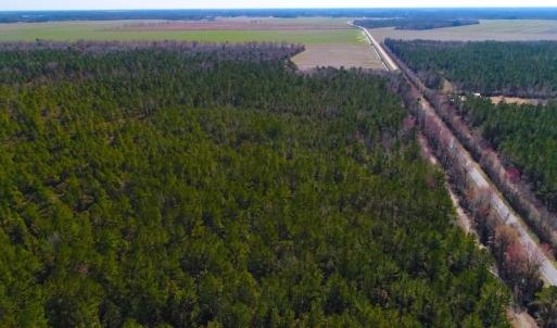 Photo of UNDER CONTRACT!  352 Acres of Timber and Recreational Land For Sale in Pamlico County NC!