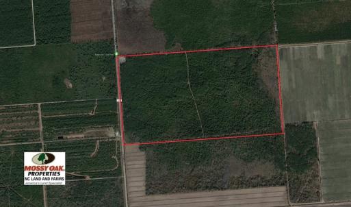 Photo of UNDER CONTRACT!  352 Acres of Timber and Recreational Land For Sale in Pamlico County NC!