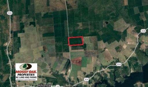 Photo of UNDER CONTRACT!  352 Acres of Timber and Recreational Land For Sale in Pamlico County NC!